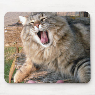 LOL Maine Coon Mouse Mat