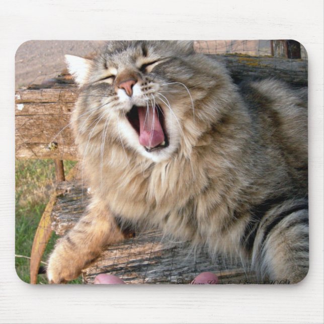 LOL Maine Coon Mouse Mat (Front)