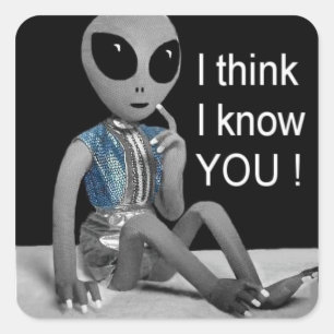 LOL - On addressed mail or beside a picture - Square Sticker