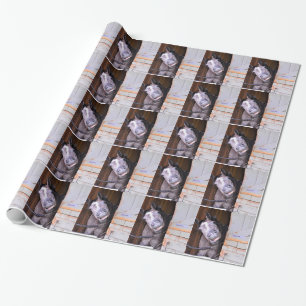 LOL WRAPPING PAPER