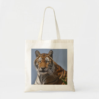 Lola Bag