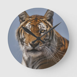 Lola Clock