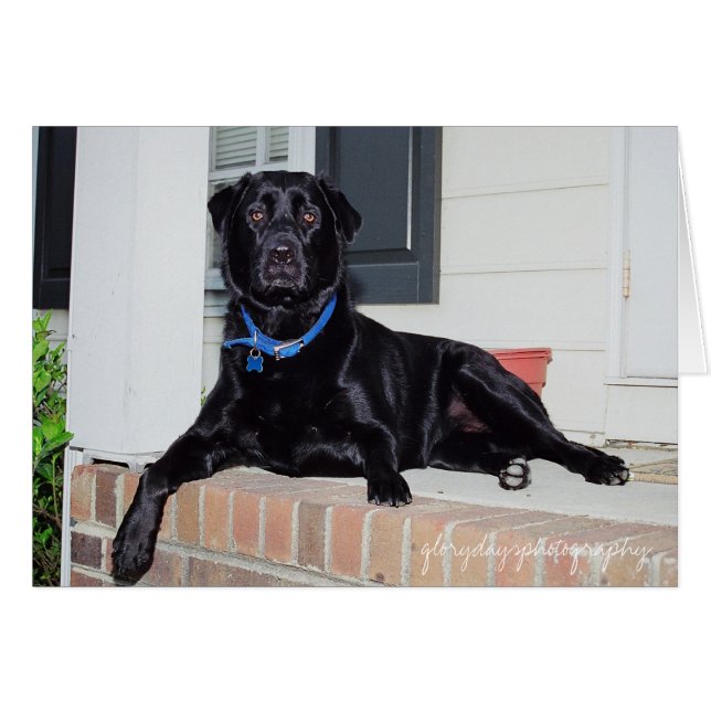 Lola, glorydaysphotography (Front Horizontal)