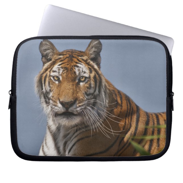 Lola Laptop Sleeve (Front)