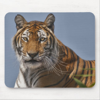 Lola Mouse Pad