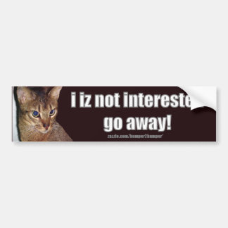LOLCat 3 Bumpersticker Bumper Sticker
