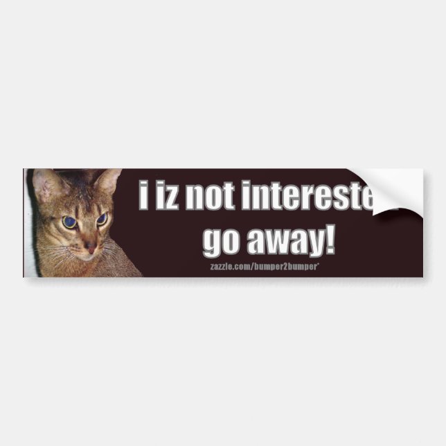 LOLCat 3 Bumpersticker Bumper Sticker (Front)