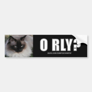LOLCat 4 bumpersticker Bumper Sticker