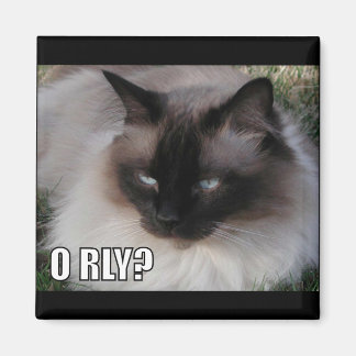 LOLCat 4 Magnet