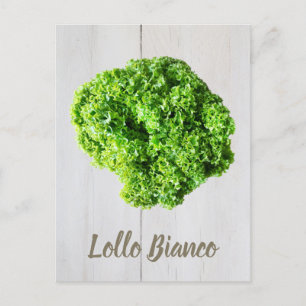 Lollo Bianco Salad lettuce leaves for Vegans Postcard