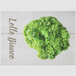 Lollo Bianco Salad lettuce leaves for Vegans Tissue Paper