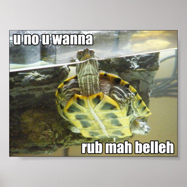 LOLturtle - rub mah belleh Poster (Front)