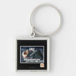 LOLZ Now in Pocket Size Key Ring