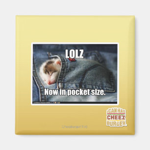 LOLZ Now in Pocket Size Magnet