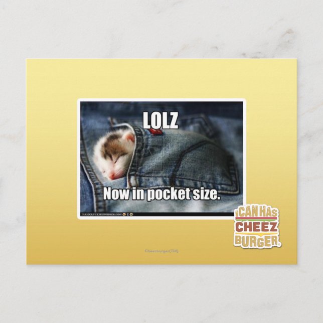 LOLZ Now in Pocket Size Postcard (Front)