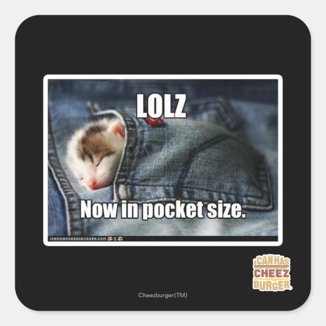 LOLZ Now in Pocket Size Square Sticker (Front)
