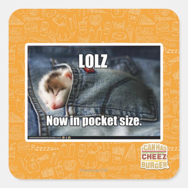 LOLZ Now in Pocket Size Square Sticker (Front)