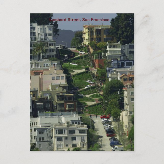 Lombard Street, San Francisco Postcard (Front)