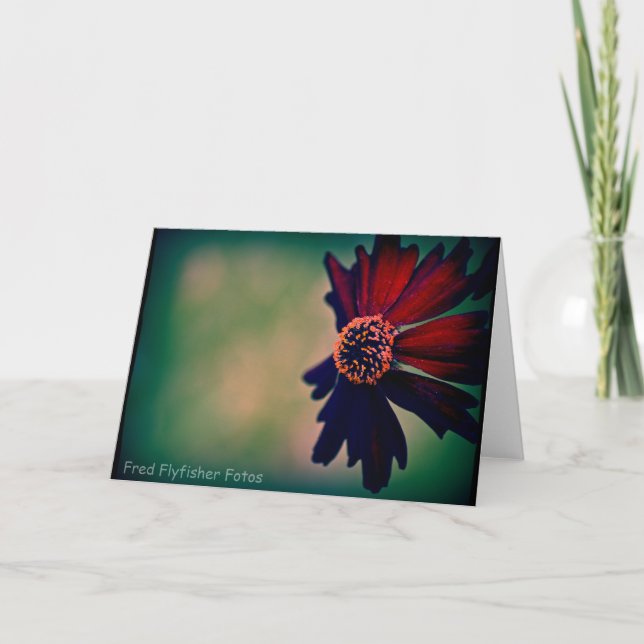 Lomo Daisy Card (Front)