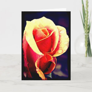 Lomo Rose Card