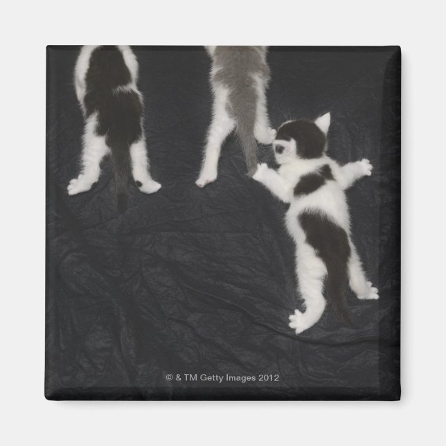 London, England, UK 2 Magnet (Front)