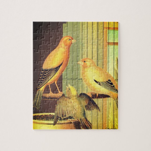London Fancy Canaries -vintage illustration Jigsaw Puzzle (Vertical)