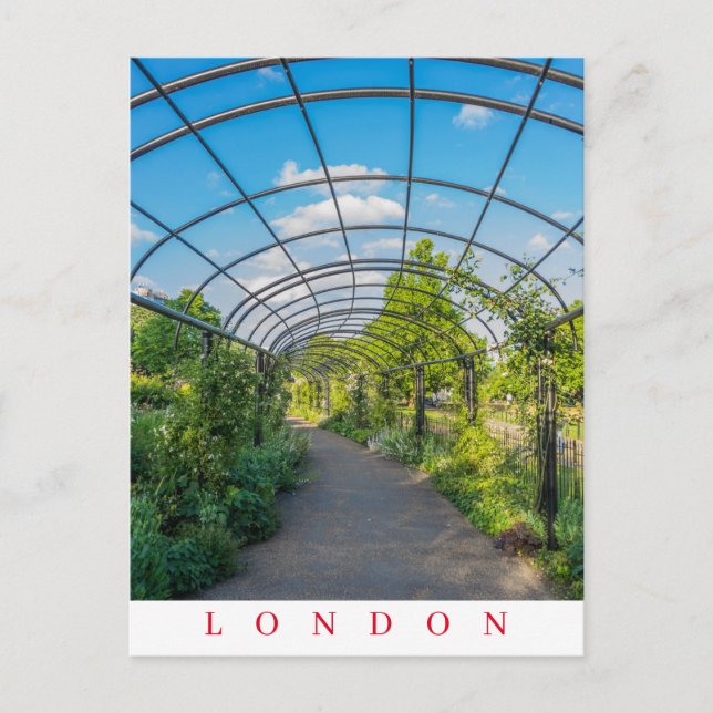 London Hyde Park path view postcard (Front)