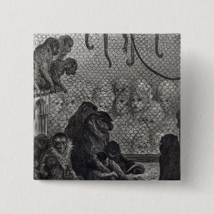 London' Monkeys 15 Cm Square Badge