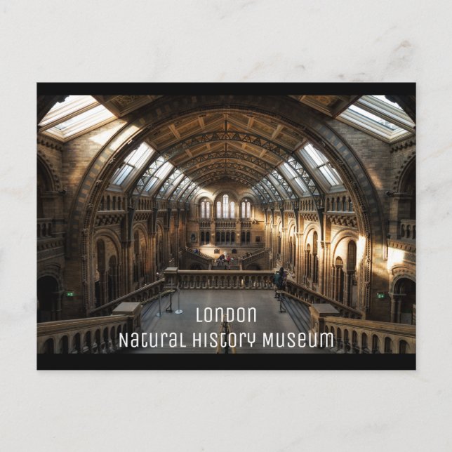 London - Natural History Museum Postcard (Front)