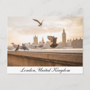 London, Parliament Postcard