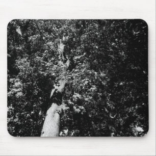 London Plane Tree B&W Mouse Mat