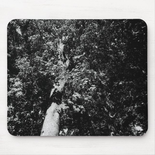 London Plane Tree B&W Mouse Mat (Front)