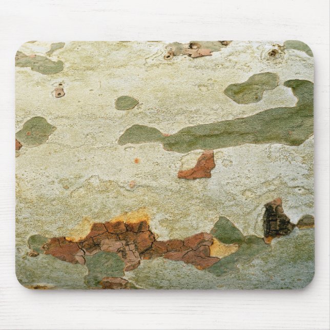 London plane tree wood bark nature plant texture p mouse mat (Front)