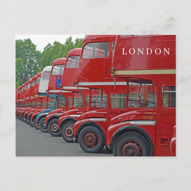 London red buses in a row postcard (Front)
