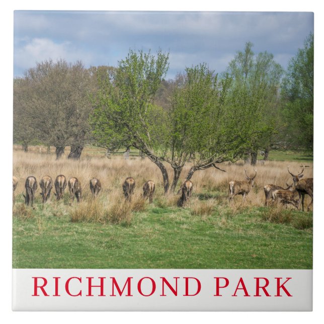 London Richmond Park deer ceramic tile (Front)