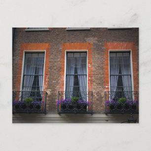 London Window Flower Boxes Postcard