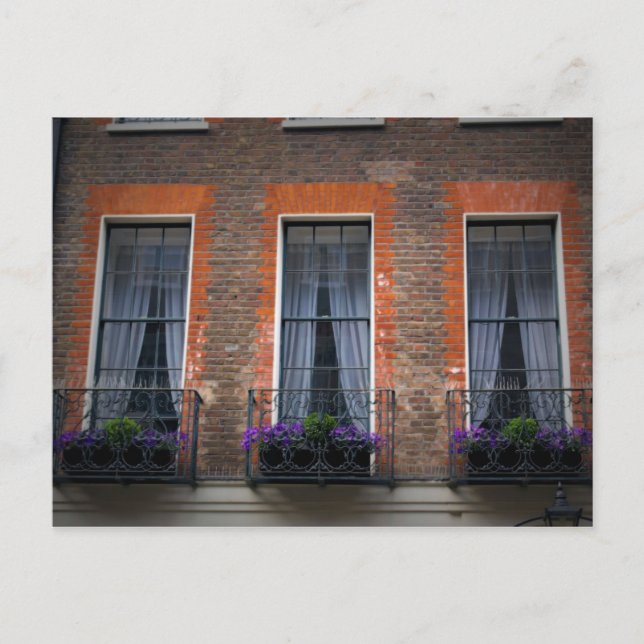 London Window Flower Boxes Postcard (Front)