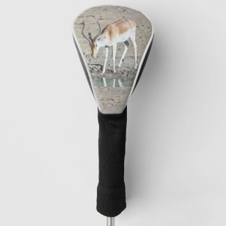 Lone Antelope, Golf Head Cover