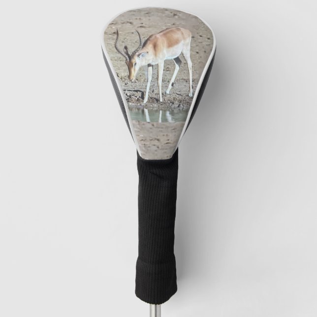 Lone Antelope,  Golf Head Cover (Front)