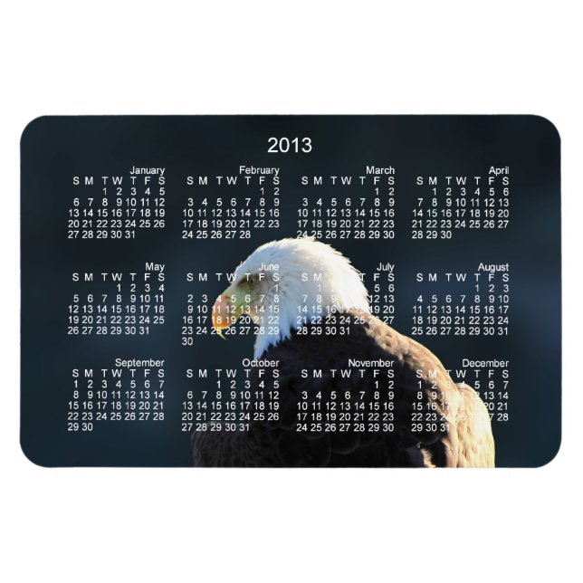 Lone Bald Eagle; 2013 Calendar Magnet (Horizontal)