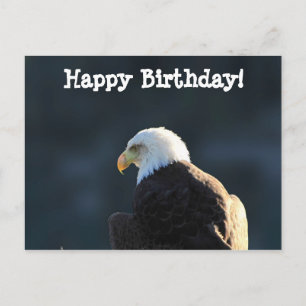 Lone Bald Eagle; Happy Birthday Postcard