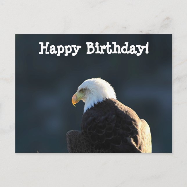 Lone Bald Eagle; Happy Birthday Postcard (Front)