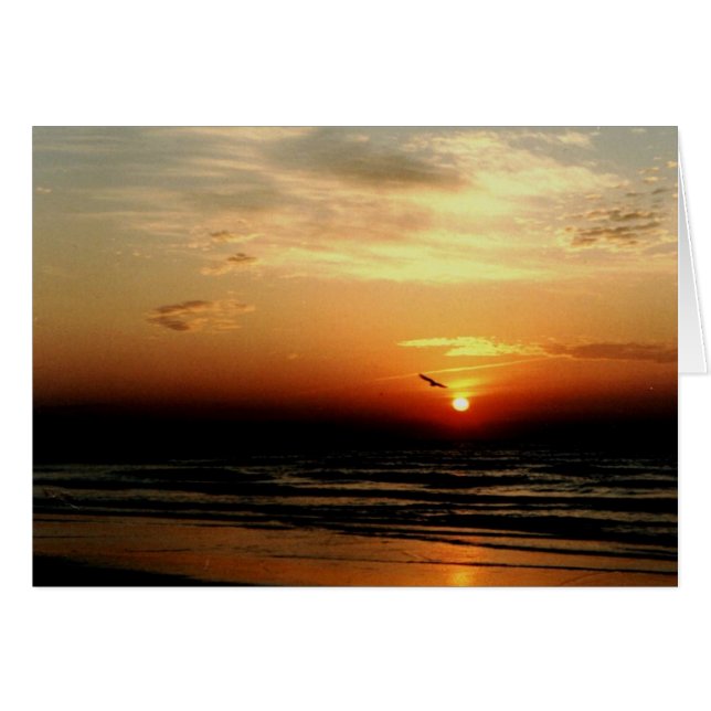 Lone Bird (Front Horizontal)