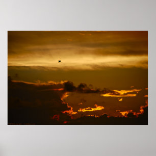 Lone Bird in a Firey Sky (Poster) Poster
