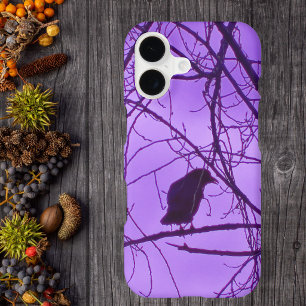Lone Black Crow Silhouette in Black Trees Purple