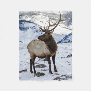 Lone Bull Elk in Snow   Yellowstone National Park Fleece Blanket