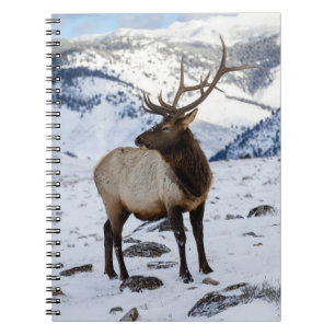 Lone Bull Elk in Snow Yellowstone National Park Notebook