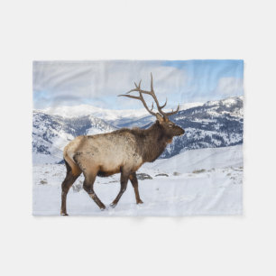 Lone Bull Elk   Yellowstone National Park Fleece Blanket