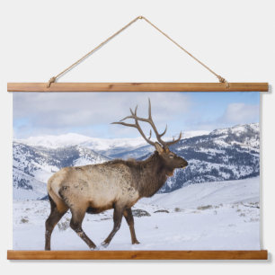 Lone Bull Elk Yellowstone National Park Hanging Tapestry