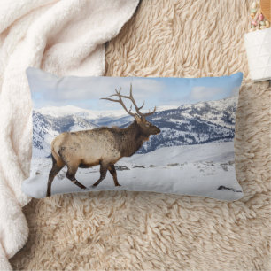 Lone Bull Elk   Yellowstone National Park Lumbar Cushion
